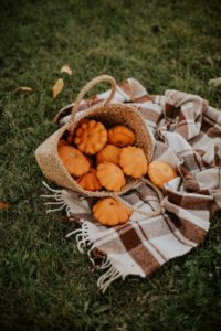 An image of a plaid blanket laid out on the grass, with a wicker basket filled with small pumpkins on top of it.